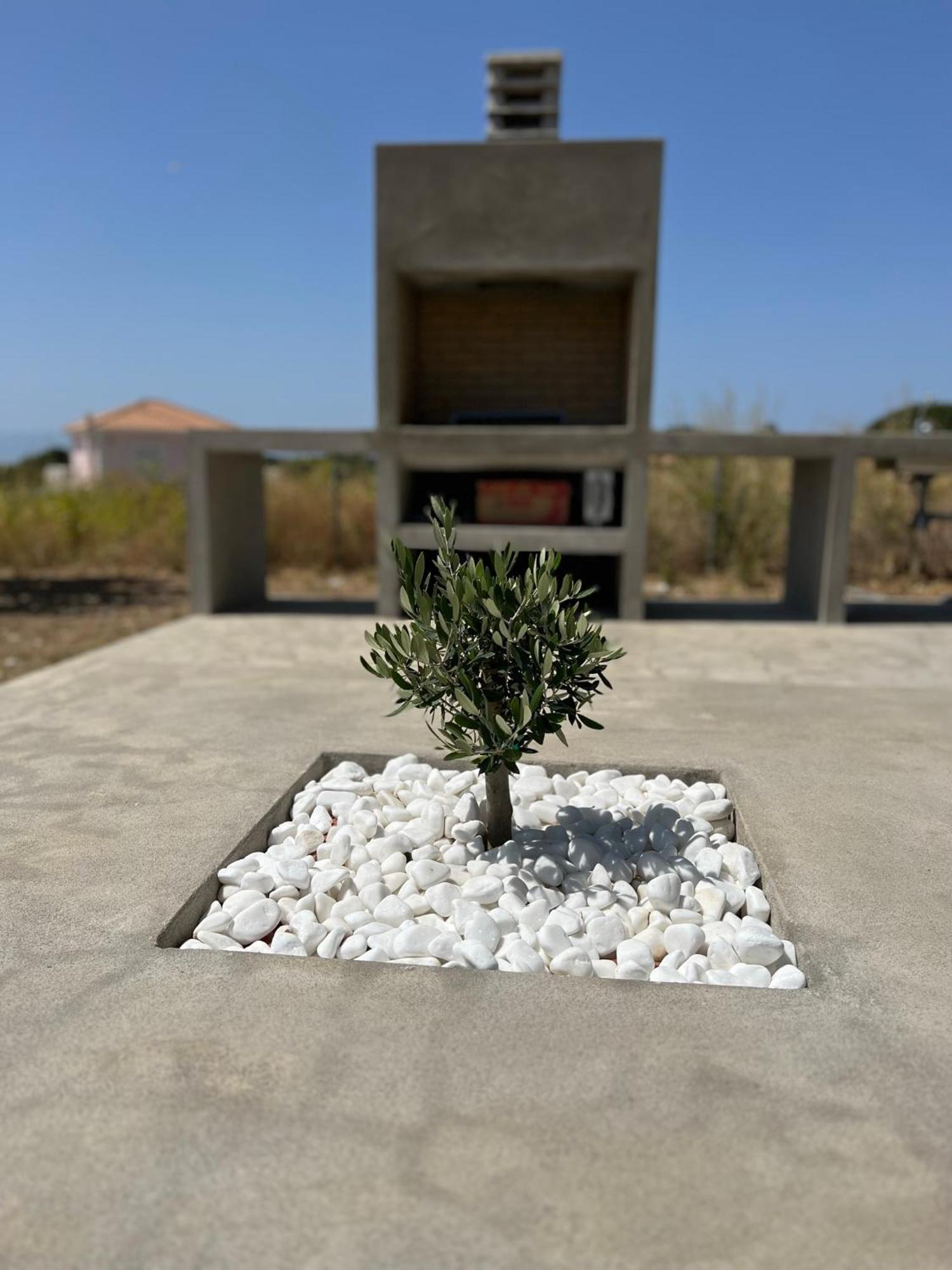 Alberi - Izla Homes Skala  Bagian luar foto